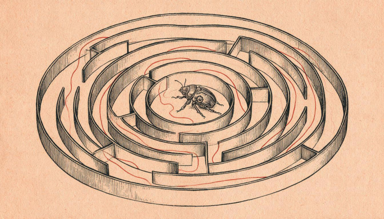 Ilustración editorial a tinta: un pequeño escarabajo mecánico atrapado en el centro de un laberinto circular recorrido por un fino hilo rojo, metáfora de las trampas contra los rastreadores de inteligencia artificial.